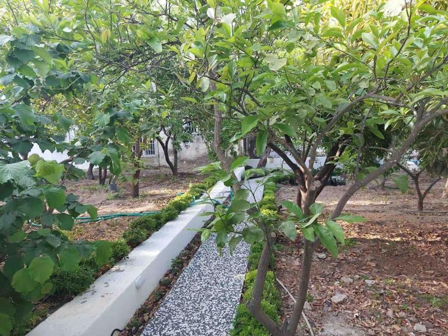 Mel'S Garden House In The Heart Of The City Bodrum Bagian luar foto