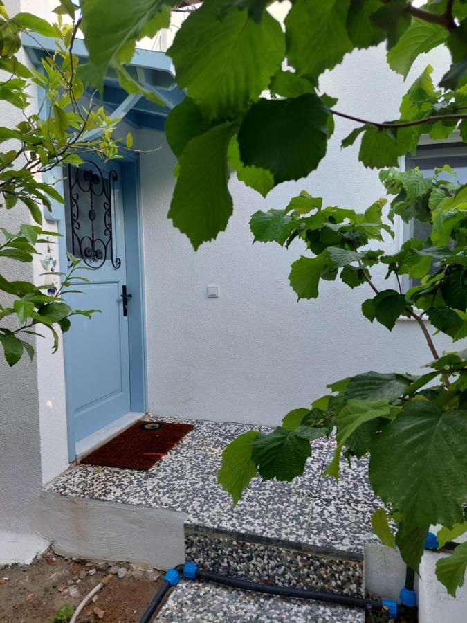 Mel'S Garden House In The Heart Of The City Bodrum Bagian luar foto